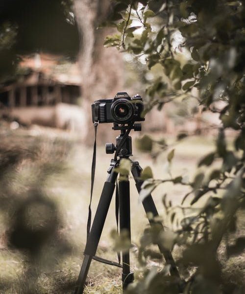 Quels sont les avantages de la pratique de la photographie ?